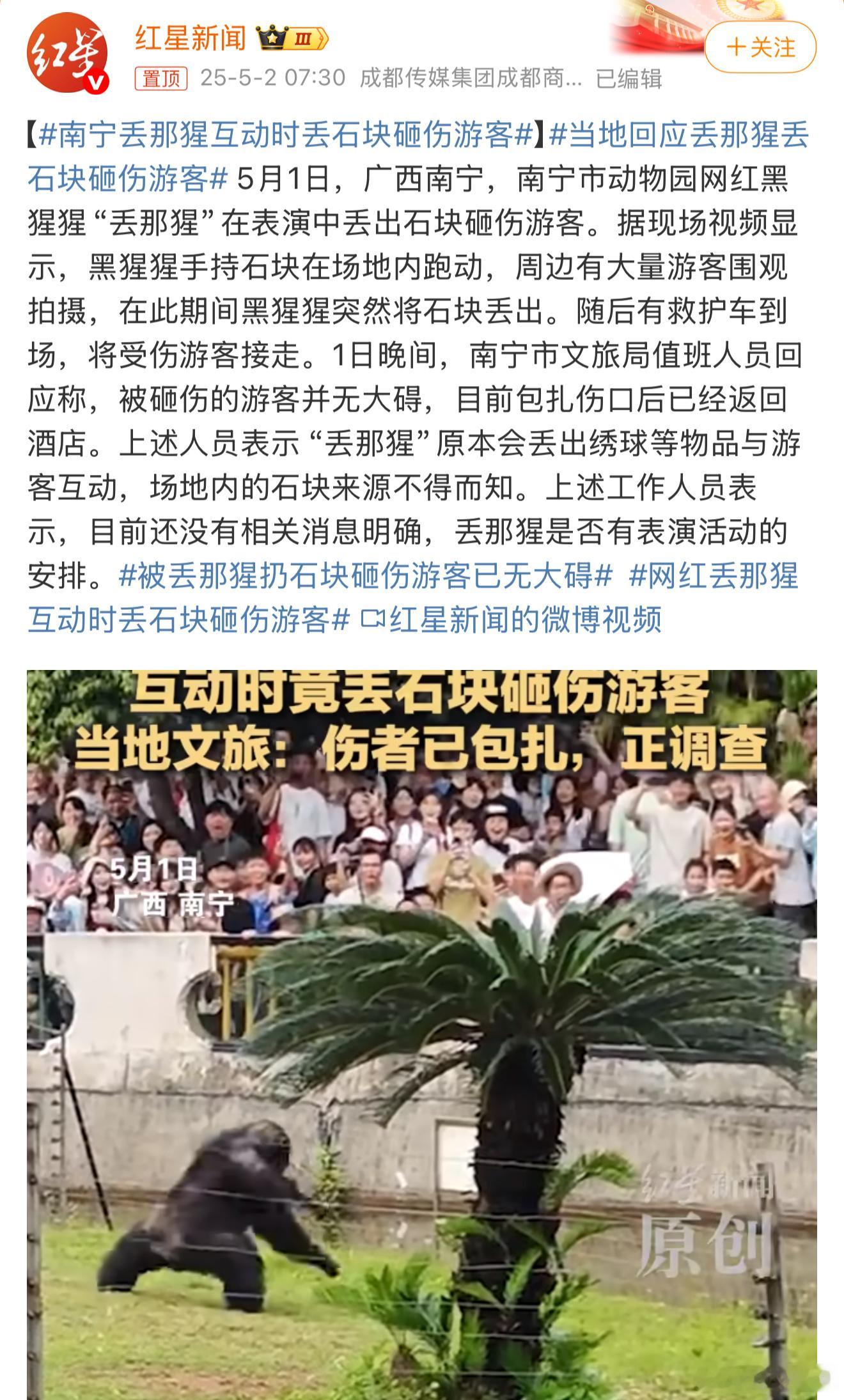 南宁丢那猩互动时丢石块砸伤游客猩猩：你不是说我不互动吗？给你互动一个看看。[do