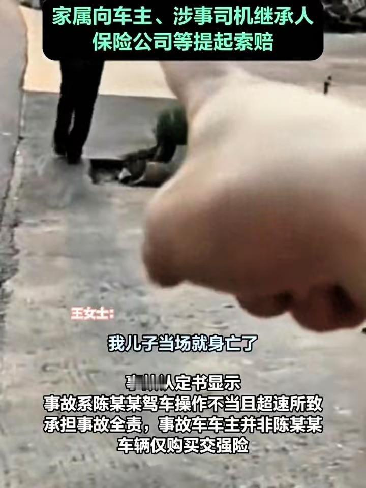 祖孙被超速车辆撞身亡司机病逝后家属向多方索赔：2025年2月，湖南攸县陈某某超