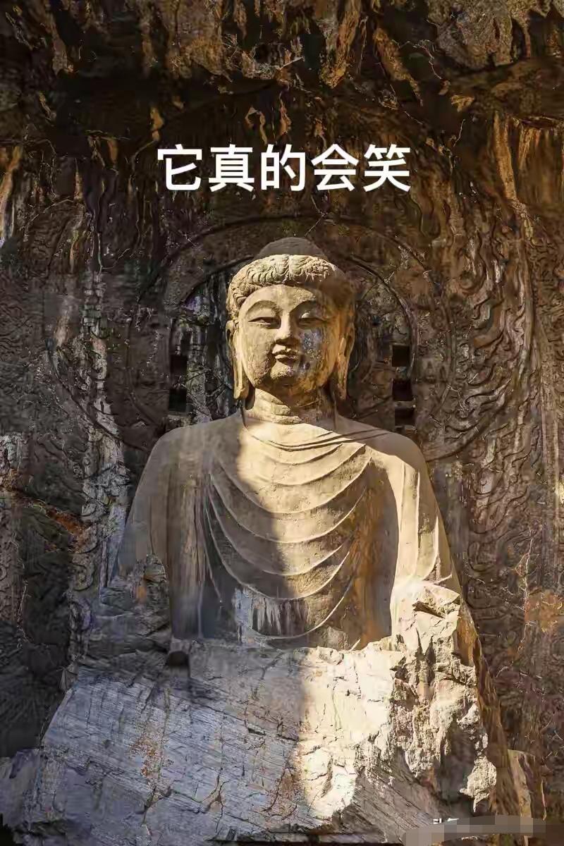 从洛阳回来三天了，我老婆问我怎么不说话。我说不上来。不是没话说，是脑子里有个东西