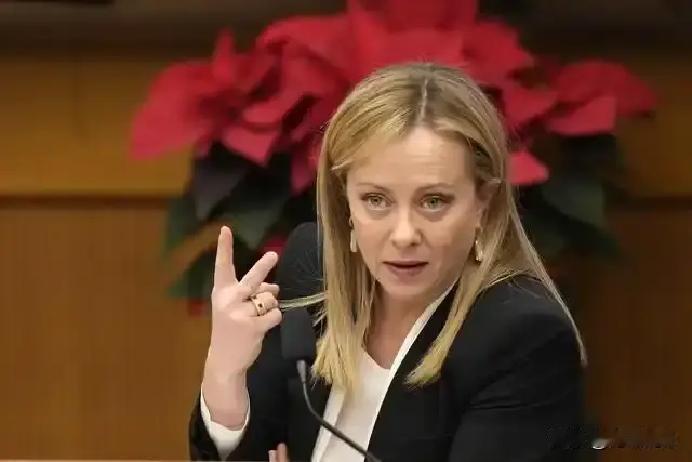 果不其然。意大利总理梅洛尼突然宣布了，拒绝向乌克兰派兵，并反对动用被冻结的俄