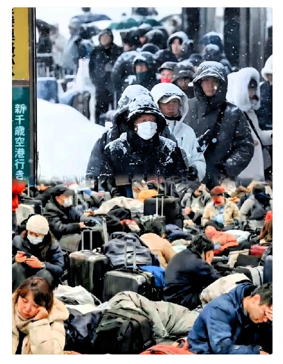 看到北海道那帮游客喊着要中华“包机接回真是把大牙都笑掉了“在外享受，出事