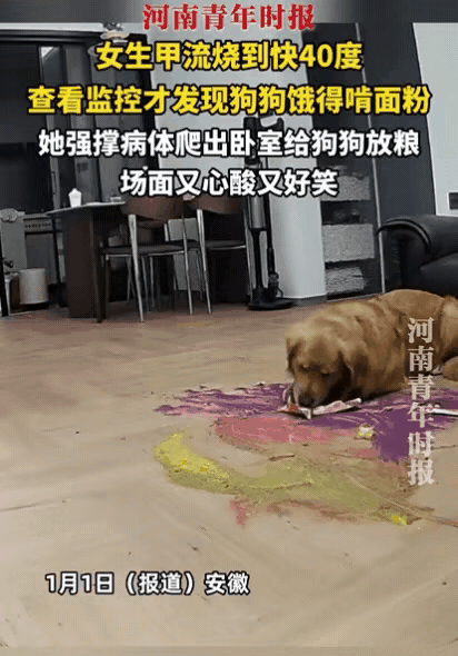 哭笑不得！安徽，女生得了甲流在家里发烧到40度无力下床，可迷迷糊糊中，却发现一个