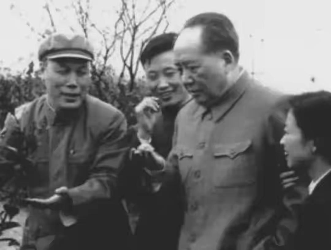 毛主席卧室密谈三科学家：一句“你管天我管地”，让钱学森泪目?1964年2月