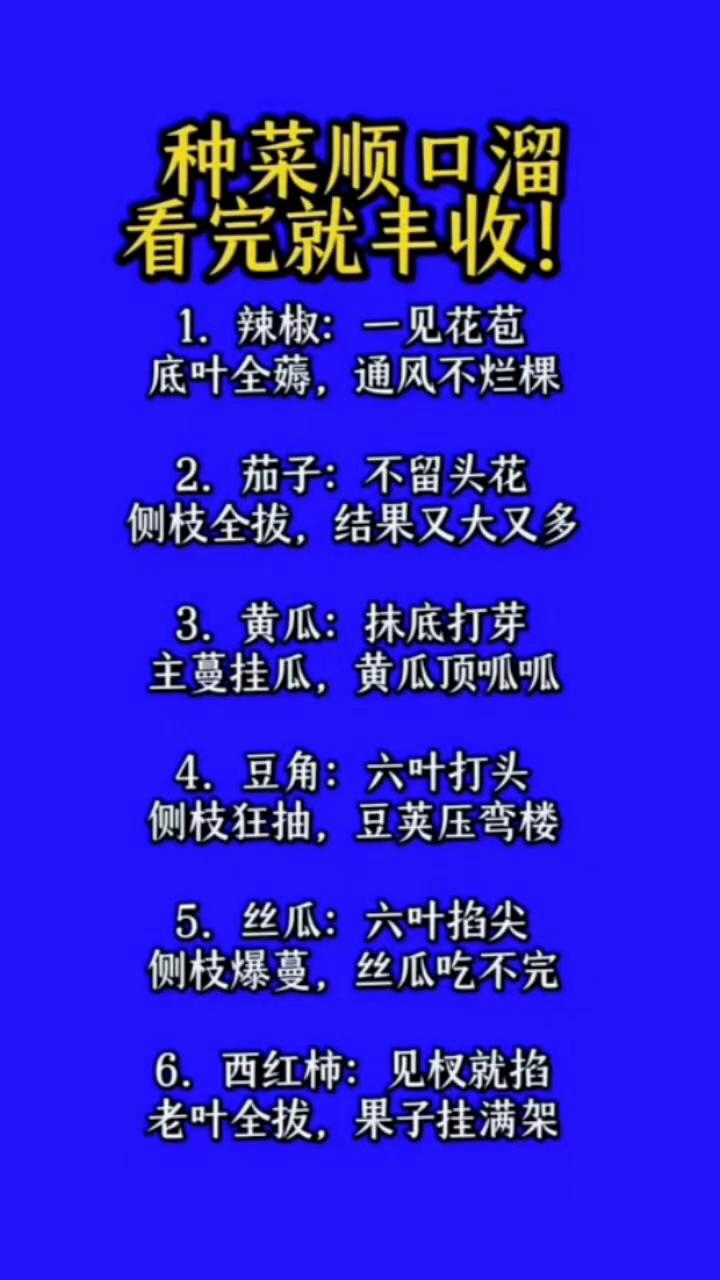 种菜顺口溜，看完就丰收！·1.辣椒：一见花苞，底叶全薅，通风不烂棵。·2.茄
