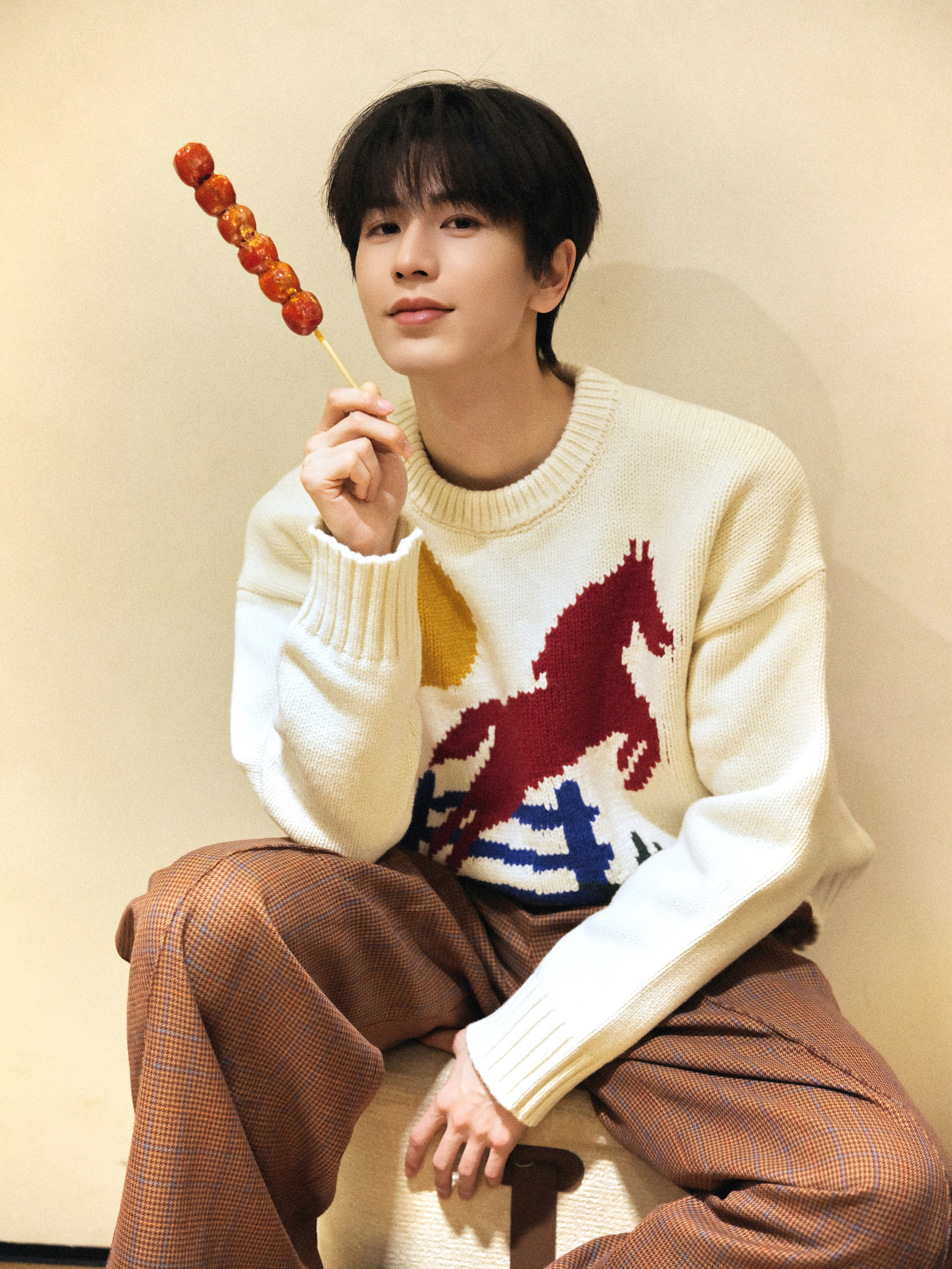 张凌赫×新春写真造型大片🧧📸风格大赏