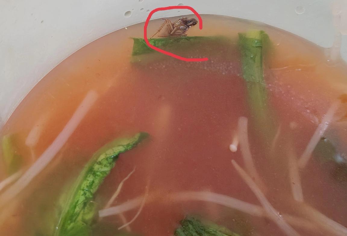 今天午饭在美团花20.99元点了份番茄土豆粉，本想着能大快朵颐，结果看到汤底飘着