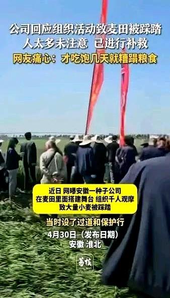 惊！4月27日，安徽淮北的安徽鲁研种业公司为了一场所谓的宣传，直接把舞台搭进