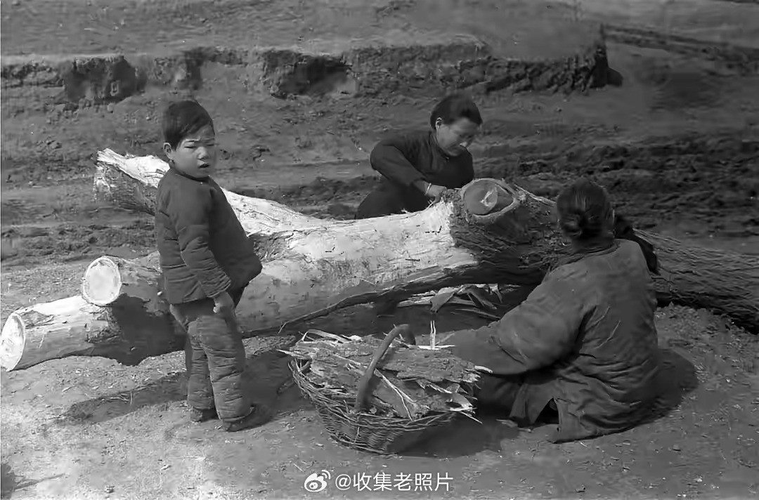 1942年，河南大饥荒，吃树皮的民国人。这才是真实的民国，那些吹捧胡适的人看看吧