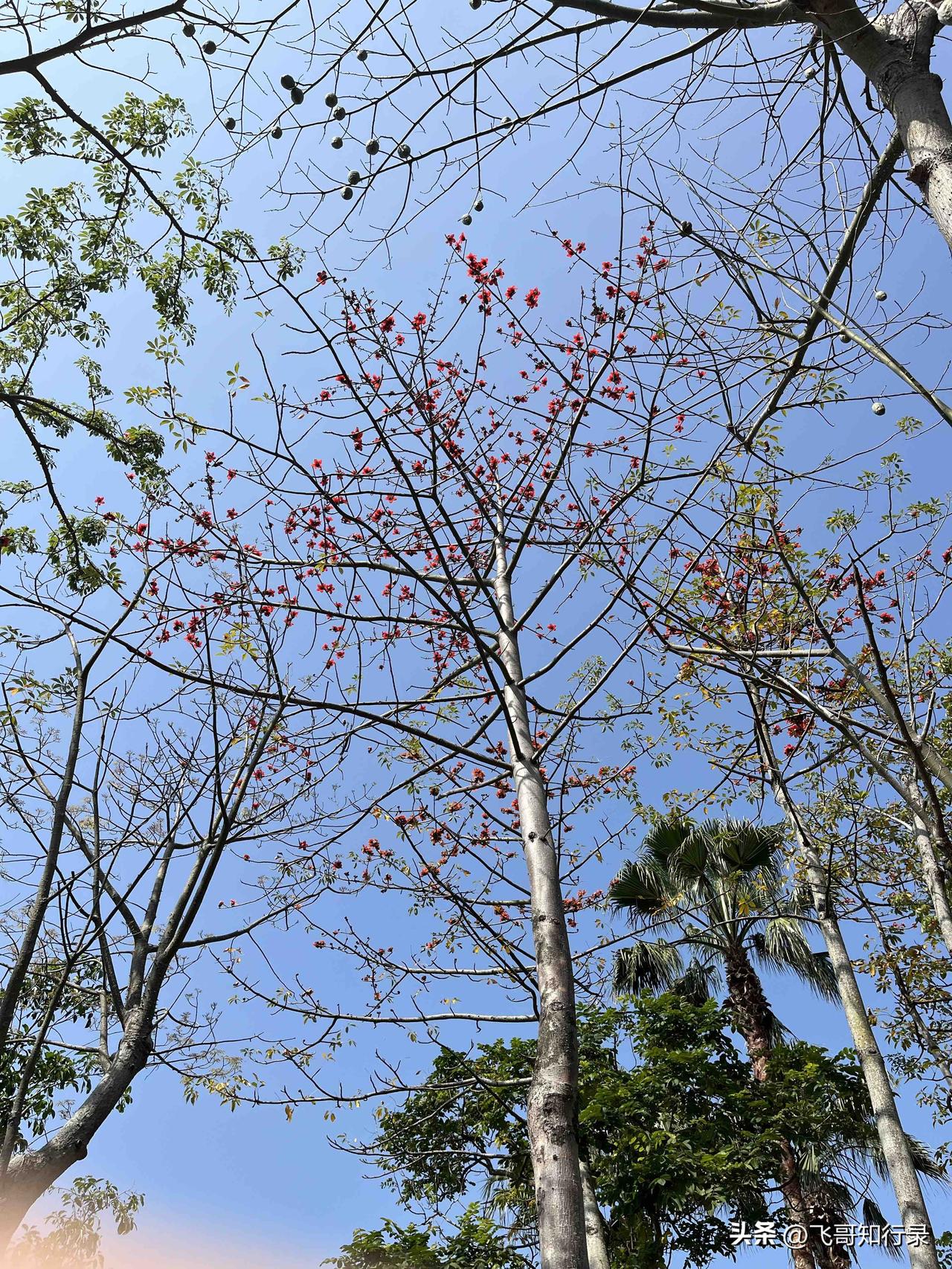 资治通鉴：当年往你身上撒尿的人，有一天会跪在你面前我以前一直想不明白一个问题