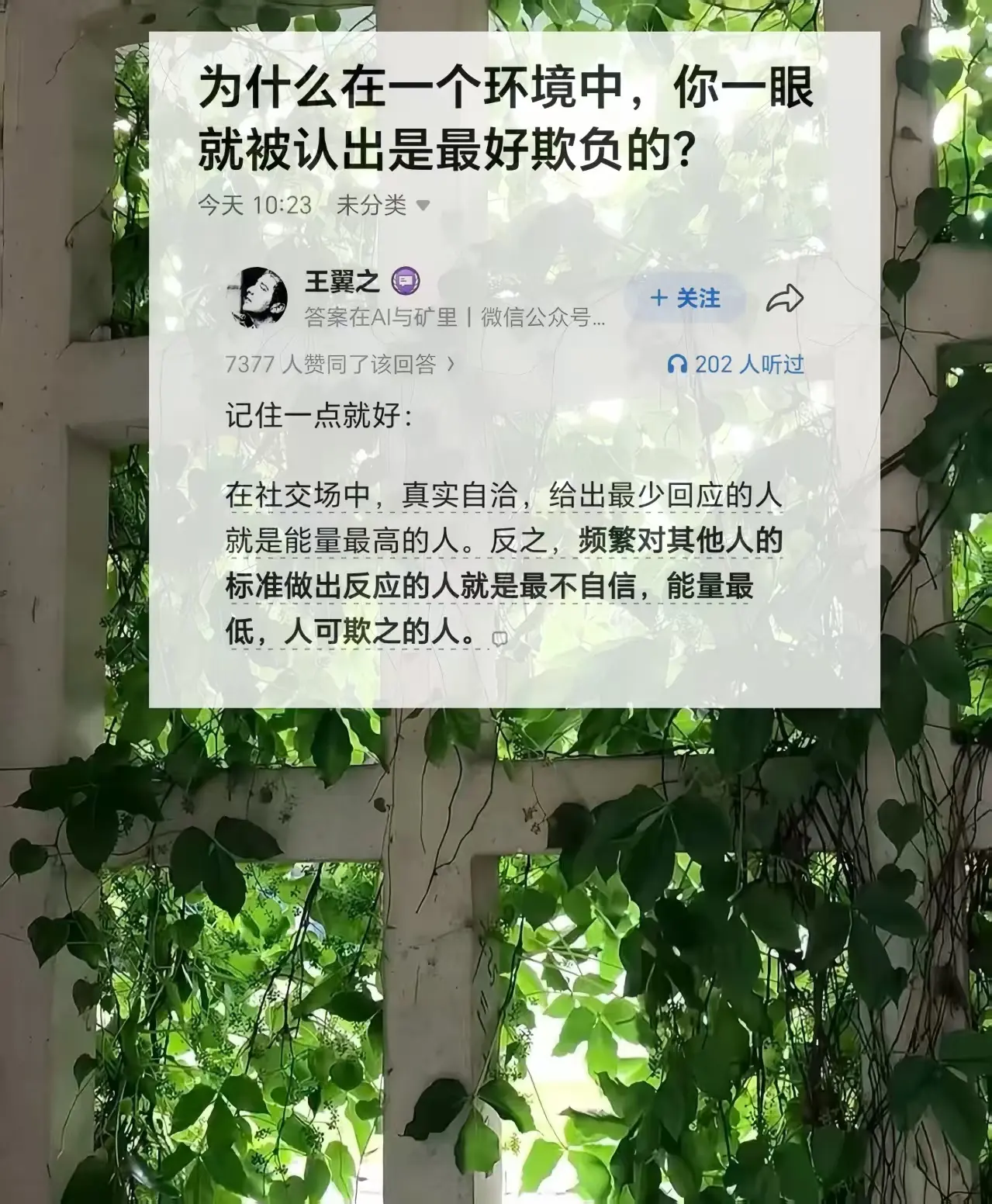 为什么在一个环境中，你一眼就被认出是最好欺负的?