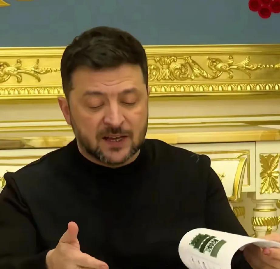 泽连斯基寸步不让！由多方商讨的最新版“20点和平计划”问世，但对于其中乌克兰以后