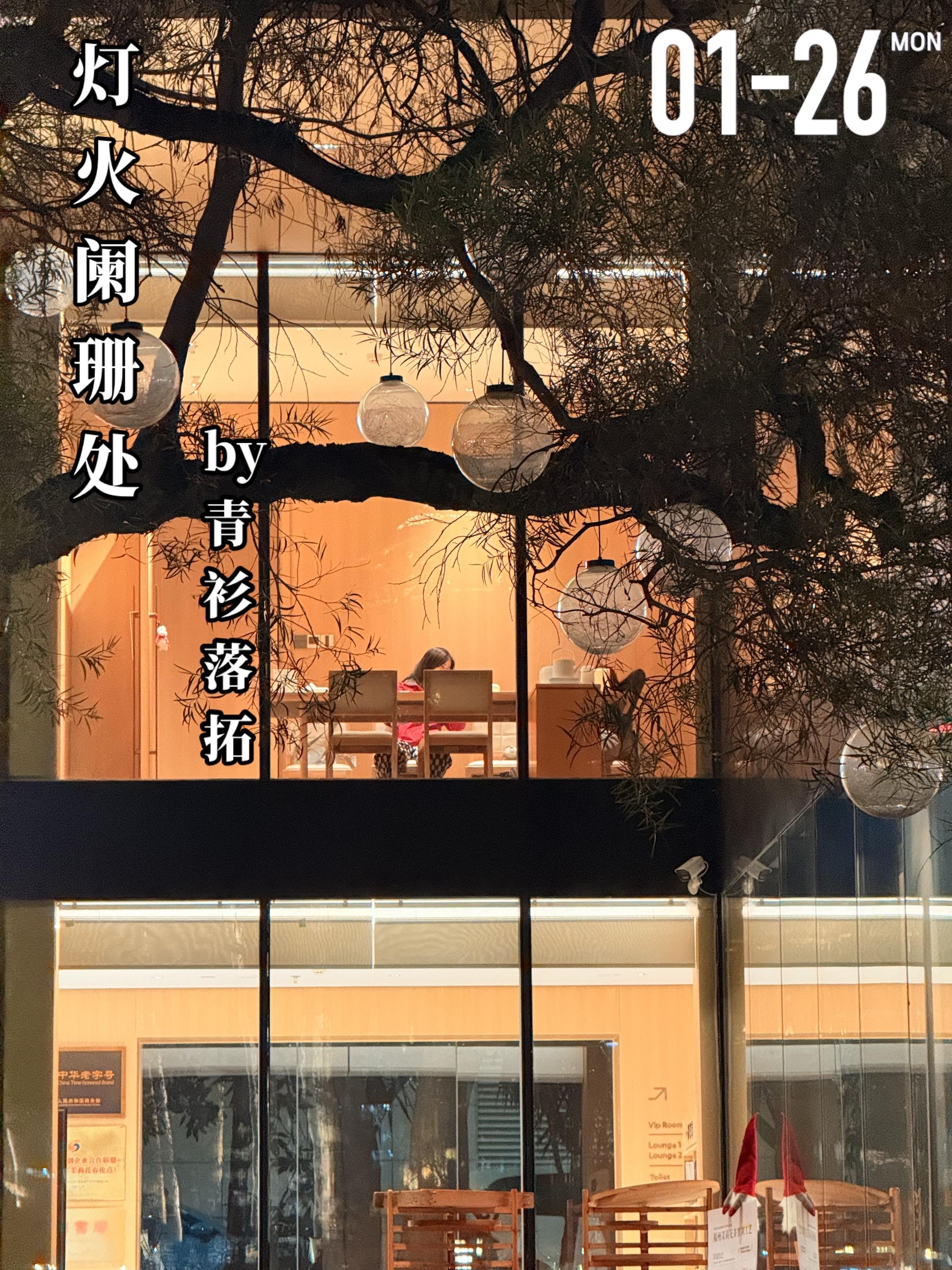 《灯火阑珊处》by青衫落拓。童年幸福的任苒（女主）在母亲去世后生活发生...