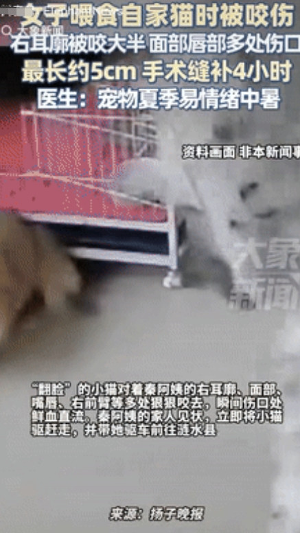 防不胜防！”江苏，一大妈养了一只宠物猫，几年来一直相安无事，不料在一次喂食中意外