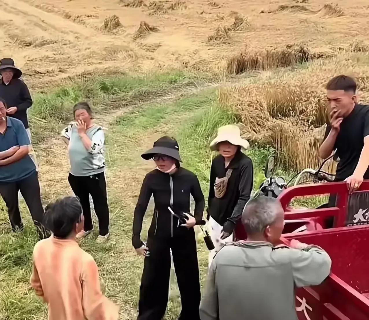 脸被打肿了，辛苦割麦的小夫妻，被大娘