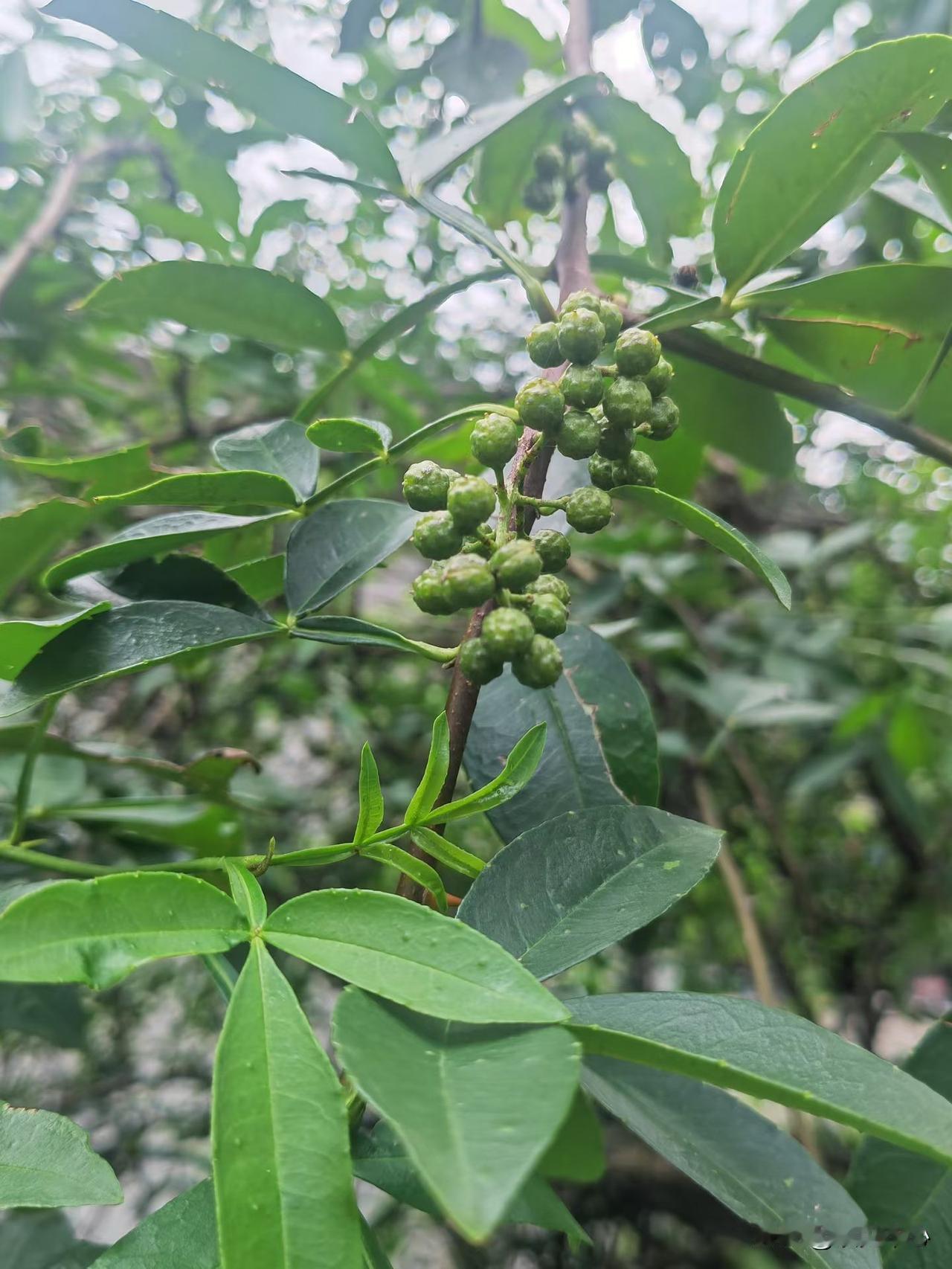 什么是“穷人思维”？这10条希望你没有。1、疯狂买便宜东西，贵的不敢买，买一大