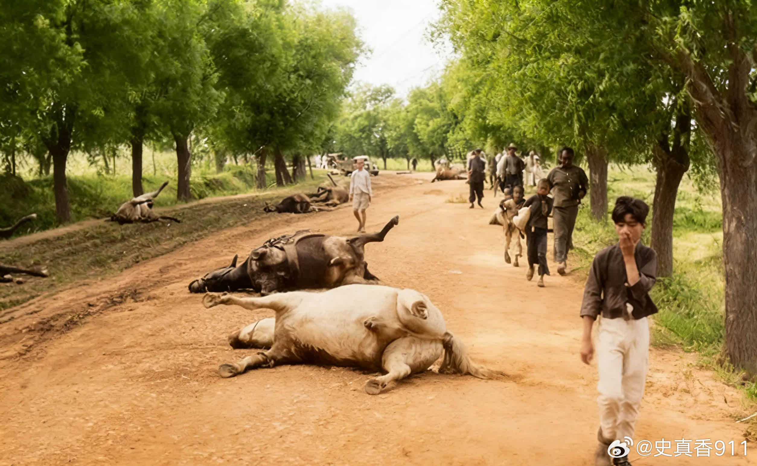 老照片中的历史：惨烈的南苑之战。死于日军轰炸的军马，可以想见南苑守军当时的伤亡有