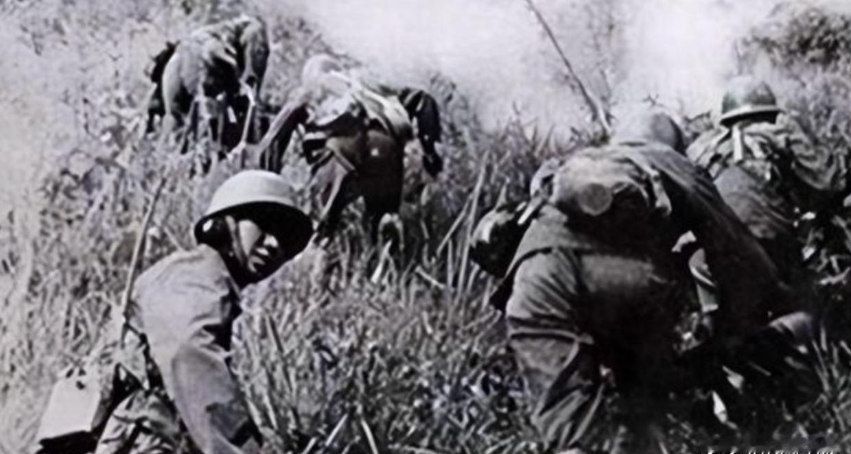 如果毛主席在，自卫反击越南战是否伤亡会大幅诚少？1979年对越自卫反击战爆发