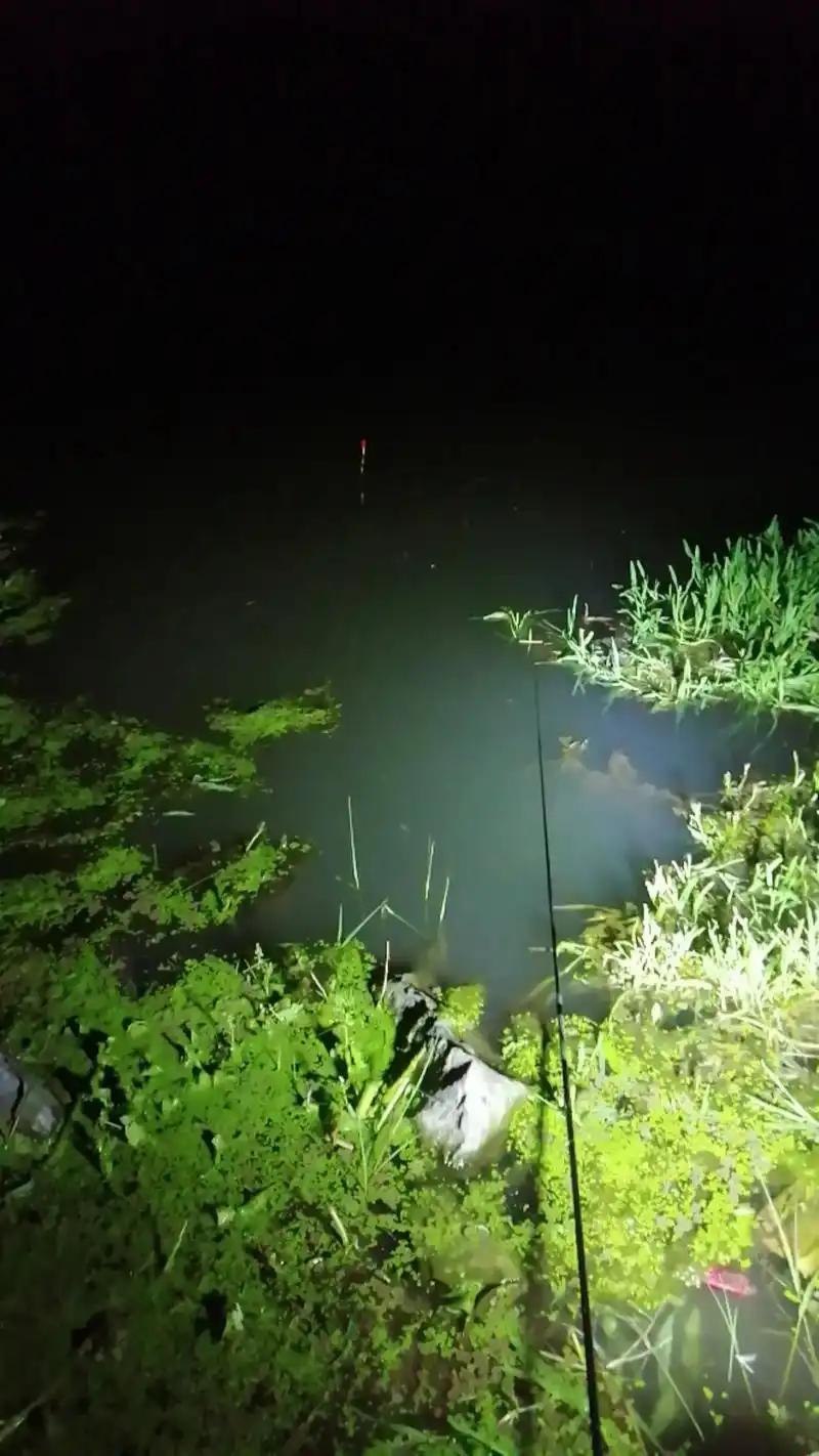 夜钓丟了性命，同行者担责！4月17日，法院公布一则案例，事发江苏省泰州市，男子