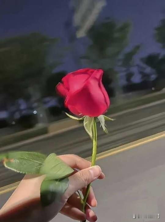 生活中难免有不如意，比如堵车、工作压力或者天气不好。但喜欢微笑的人，往往拥有一种