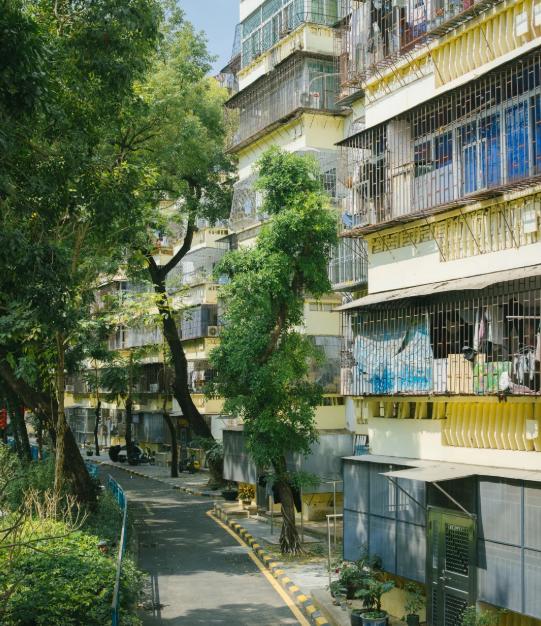 还在盲信“站得高看得远”？售楼处打死不说的真相：低密小高层才是未来，超高层正在被