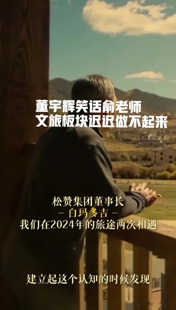 董宇辉笑话俞老师文旅迟迟做不起来不知道是担心，着急，还是开心[微笑]