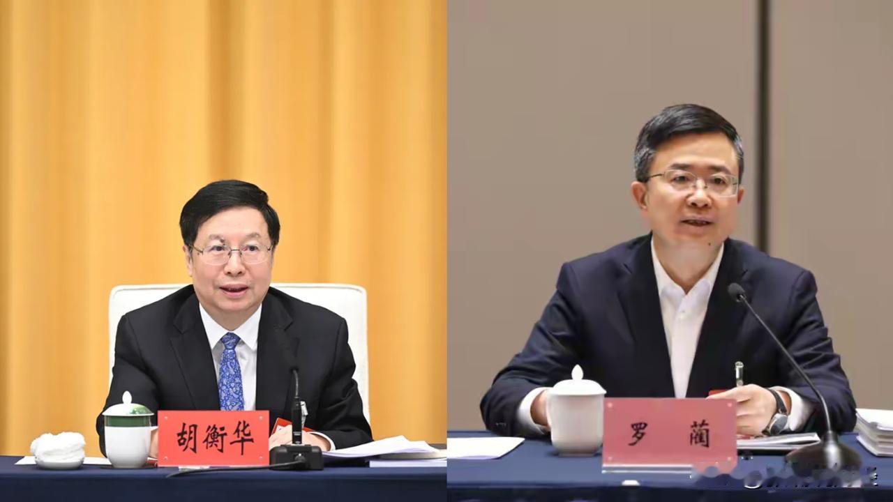 一个月之内，重庆连查一正一副两名部级高官，分别是重庆市长胡衡华和两江新区区委书记