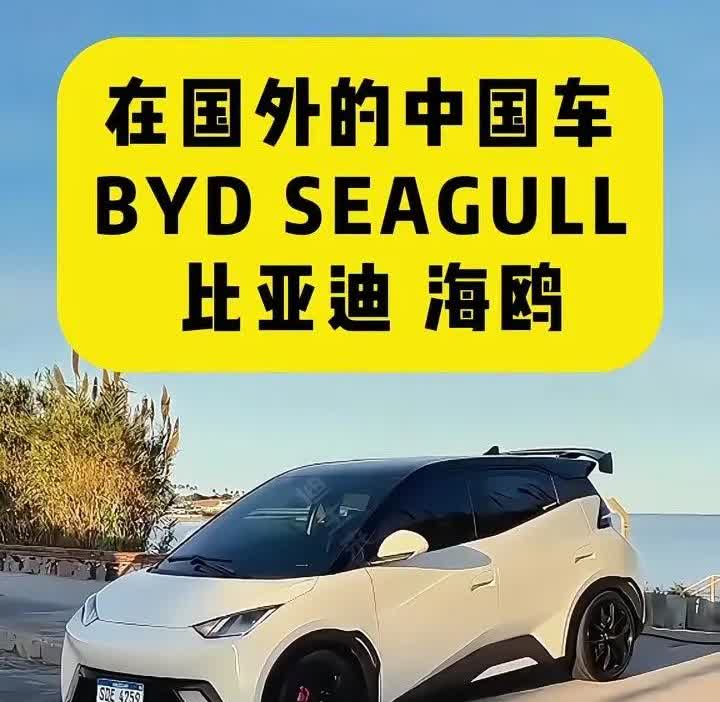 我开始有点理解，为什么欧美车企睡不着了！前不久，美国团队拆解了一台比亚迪