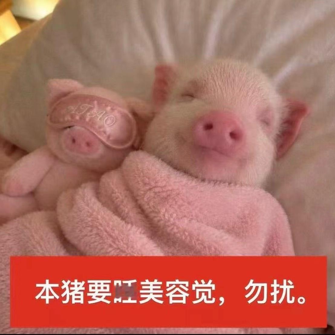睡觉睡觉等我睡醒回sx