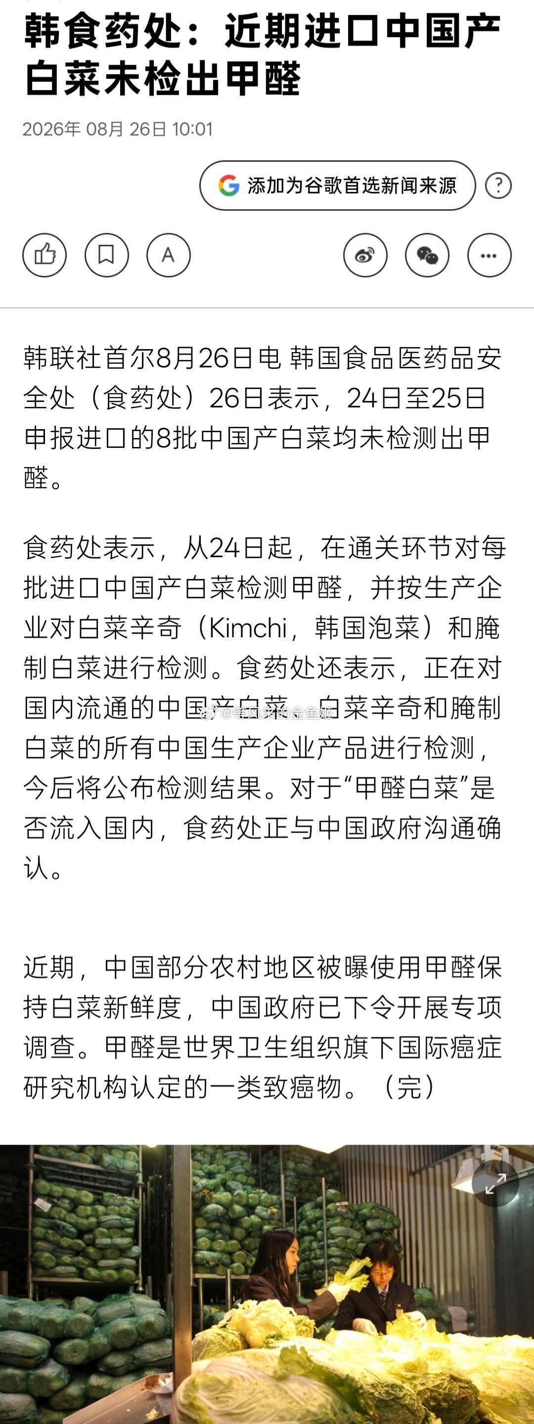 出口至韩国白菜未检出甲醛。[吃瓜]​​​