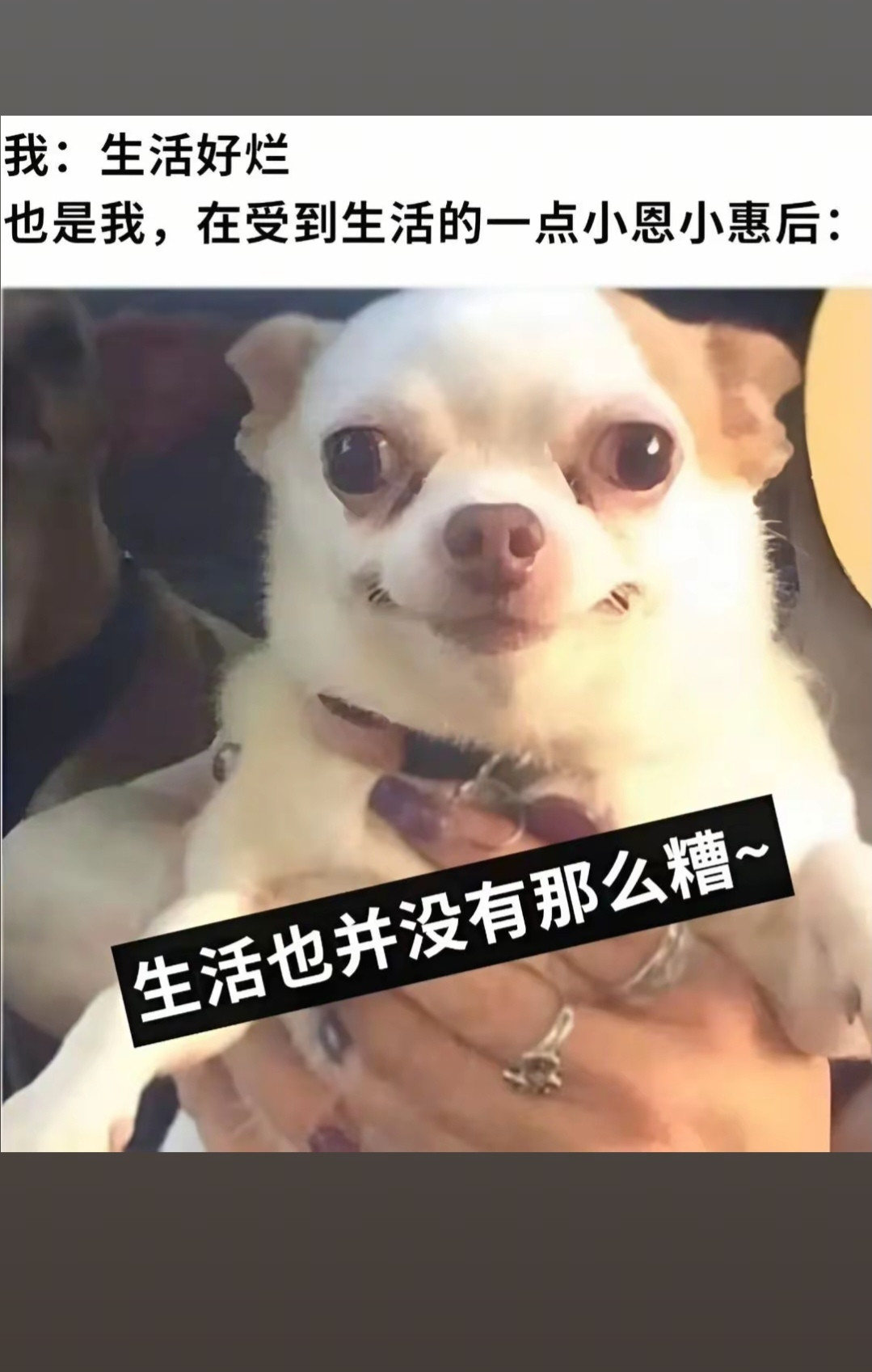 已经被调教成功