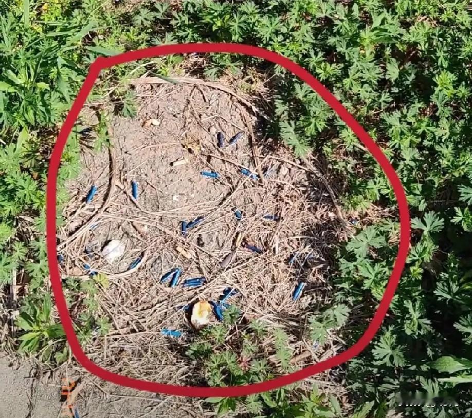 “果然是耳听为虚眼见为实！”近日，一男子发现了一个奇怪的现象，自己长期丢烟头