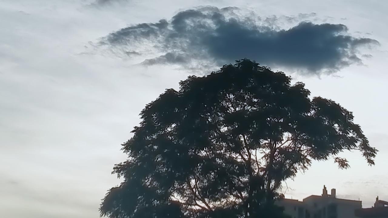 我儿媳妇娘家人来，儿媳妇直接安排我做这做那。我儿媳妇属于远嫁，结婚十年了，亲家是