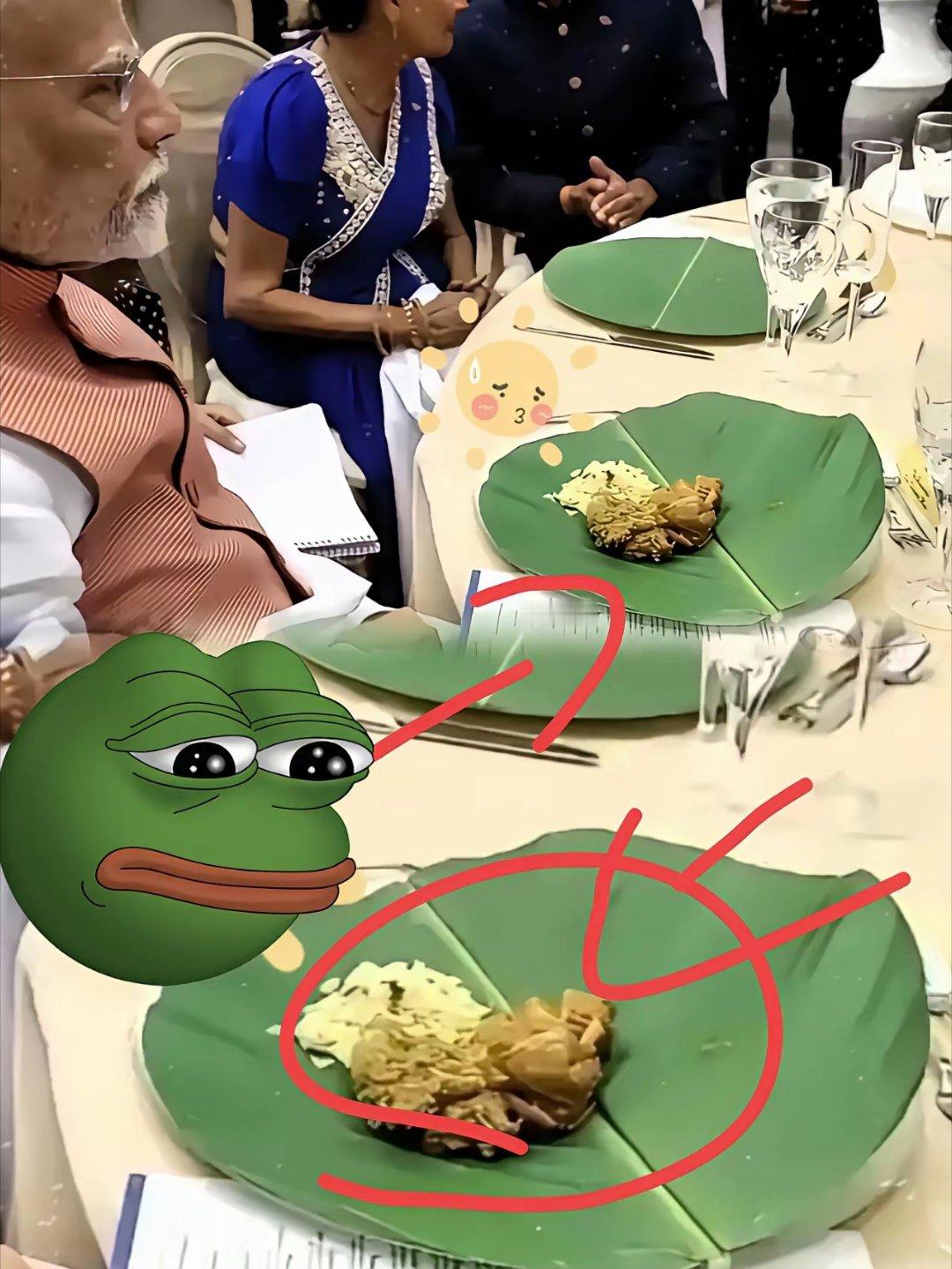 莫迪接待普京时的国宴。先不说是否好吃，就看那形状，就令人反胃。一张香蕉叶，托着两