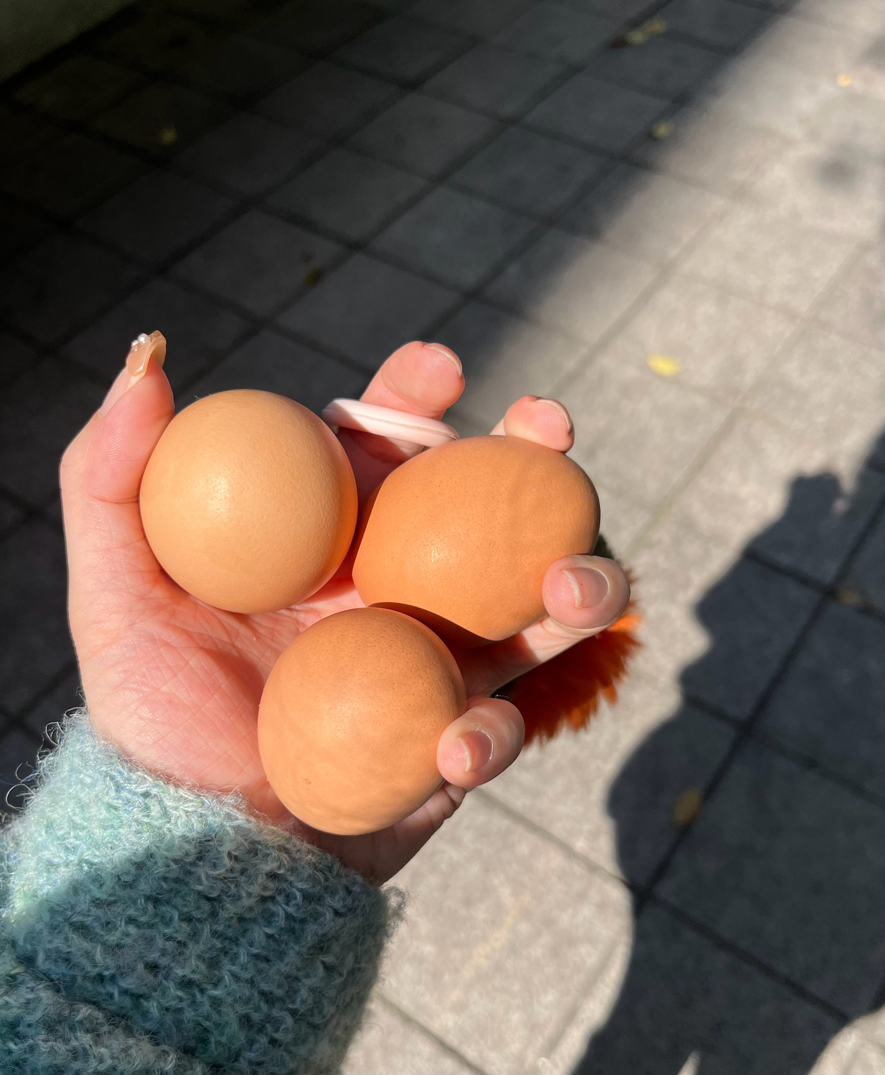 几乎每天都被食堂阿姨投喂可我已经吃过两个鸡蛋了啊啊啊啊啊啊啊啊叔叔阿姨：你又