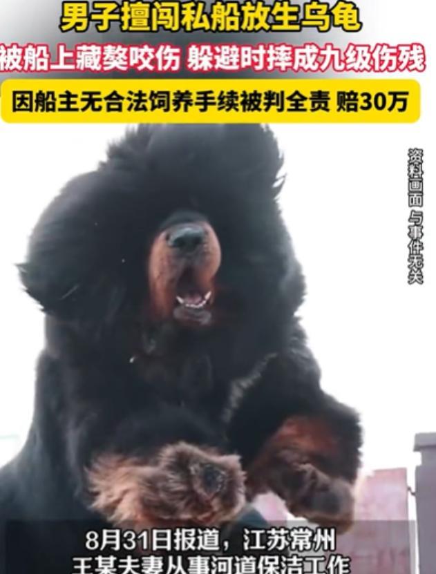 不作死就不会死！江苏常州，夫妻因工作原因，需要长期住在船上，于是两人养了只藏獒看