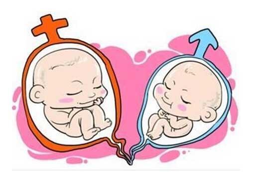 不排卵会来月经吗? 怎么知道排不排卵? 不排卵又是什么原因?