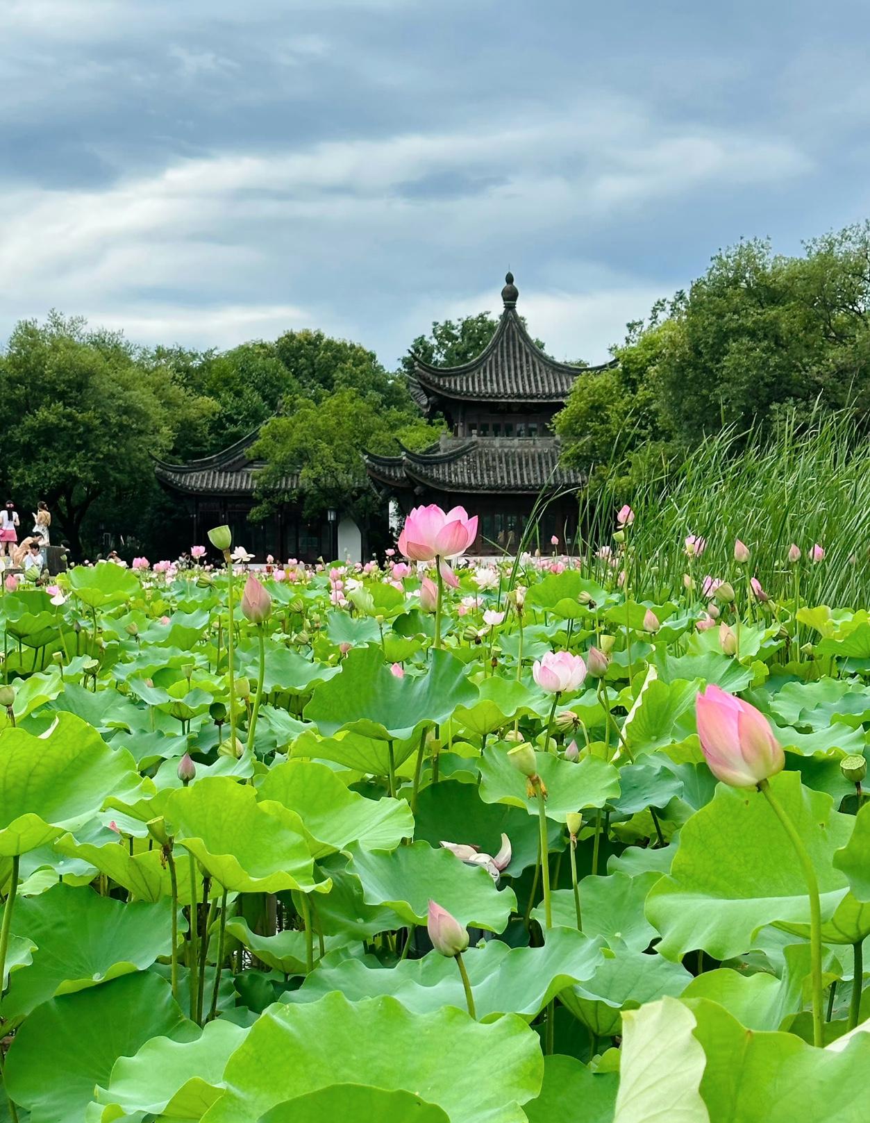 巨蟹座7月9日至7月16日运势傲视群雄，高光时刻。身兼本月之星、年度当运
