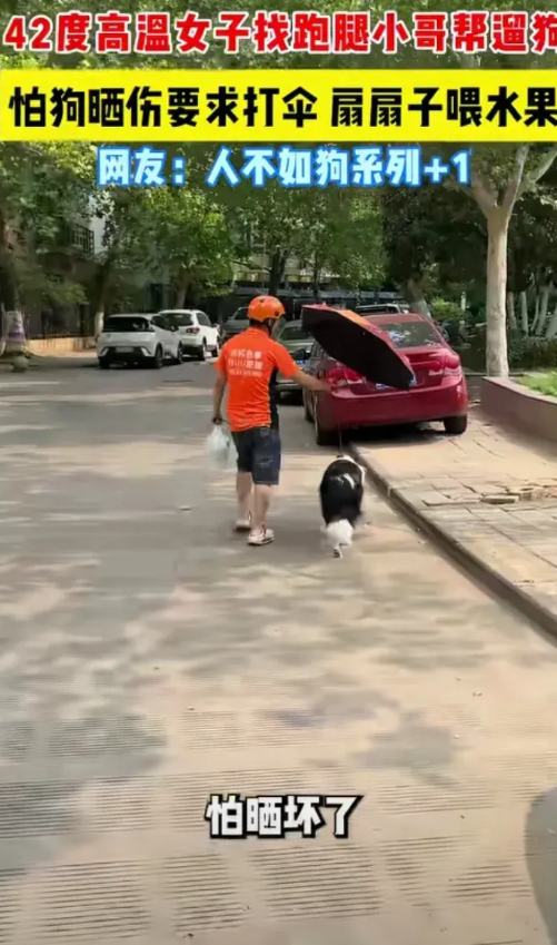郑州街头一个外卖小哥接个单子，帮主人遛狗。42度高温，狗子闹着出门。这样的高