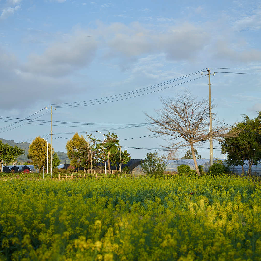 我大概知道一些女性为什么总是工资三四千，四五千，刚刚和一个人聊，我觉得血压都上来
