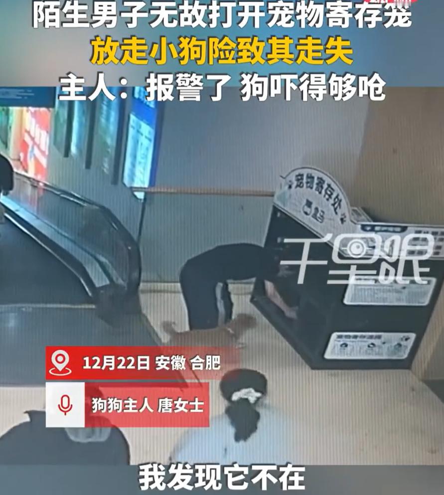 “这就是欠！”安徽合肥，女子带着宠物犬去逛商城，期间把小狗寄存在商城的宠物笼里，