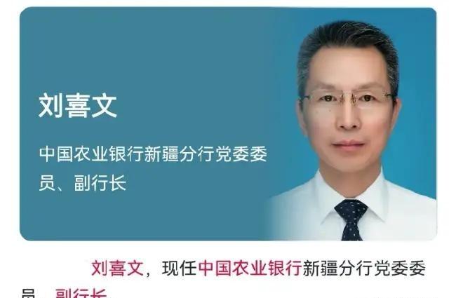又一条大鱼，还是金融圈的！倒回去看这个人的履历，其实挺让人唏嘘的。刘喜文在农行