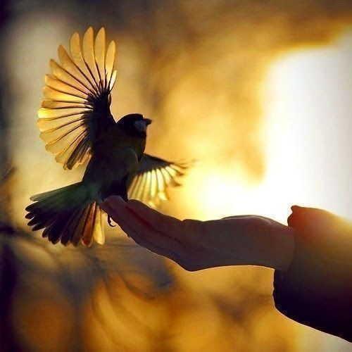 都说安全感只有自己才能给自己，但这里面应该包括有三层意思，第一是自己可以养活自己