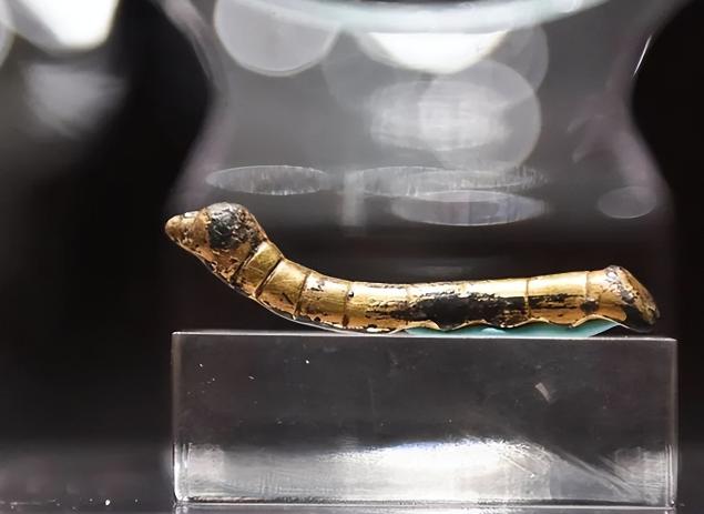 1984年，一个文物贩子来到石泉县的谭福全家，他看着桌子上金色的虫子心中狂喜，脸