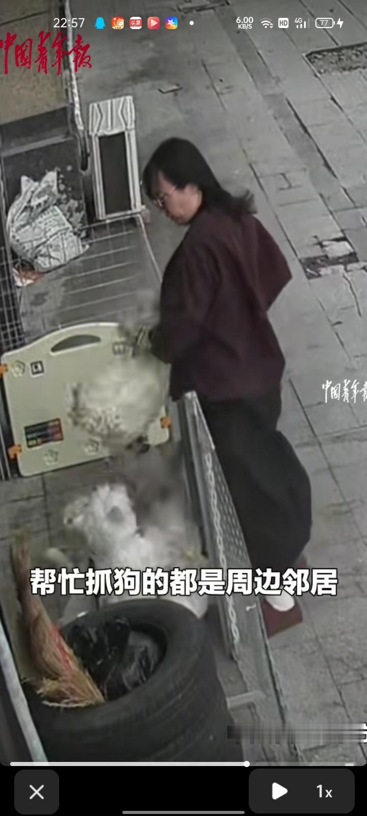 6月5日，吉林长春。宠物店围栏没锁好门，小狗两次出逃，店主骑摩托车去干。当事