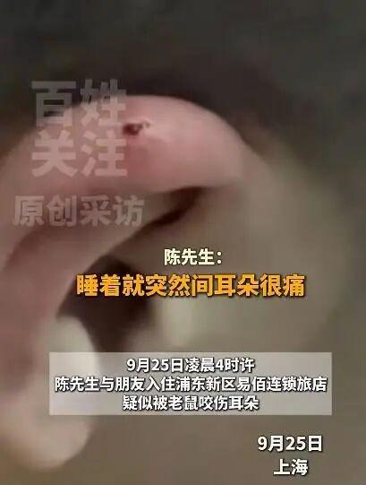 陈先生入住上海某酒店，半夜熟睡，耳朵突然被咬穿，男子惊醒后，用手去摸耳朵，结果满