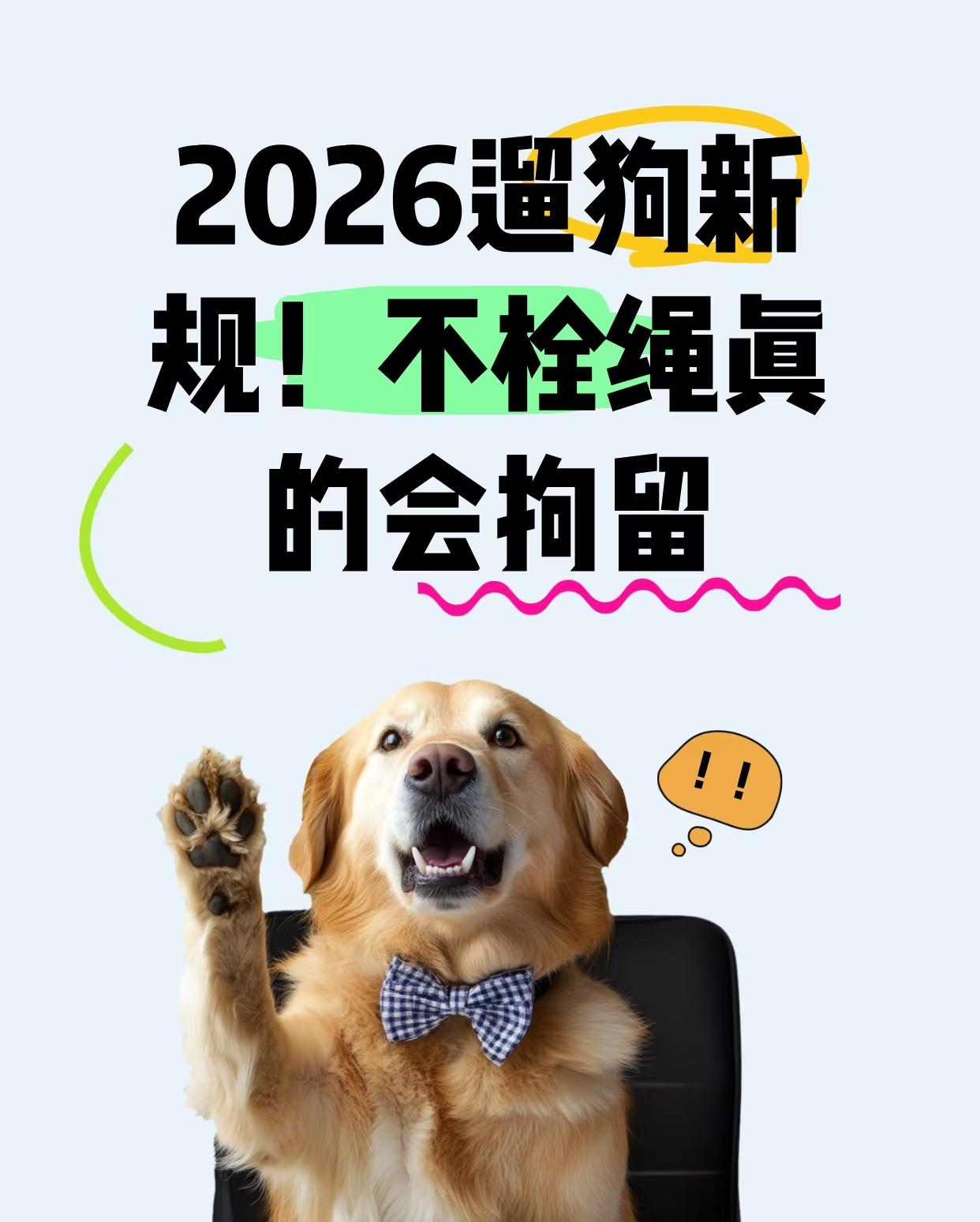如果你【一丝不狗】就要违法啦‼️2026年1月1日起，遛狗不牵绳后果超严重！