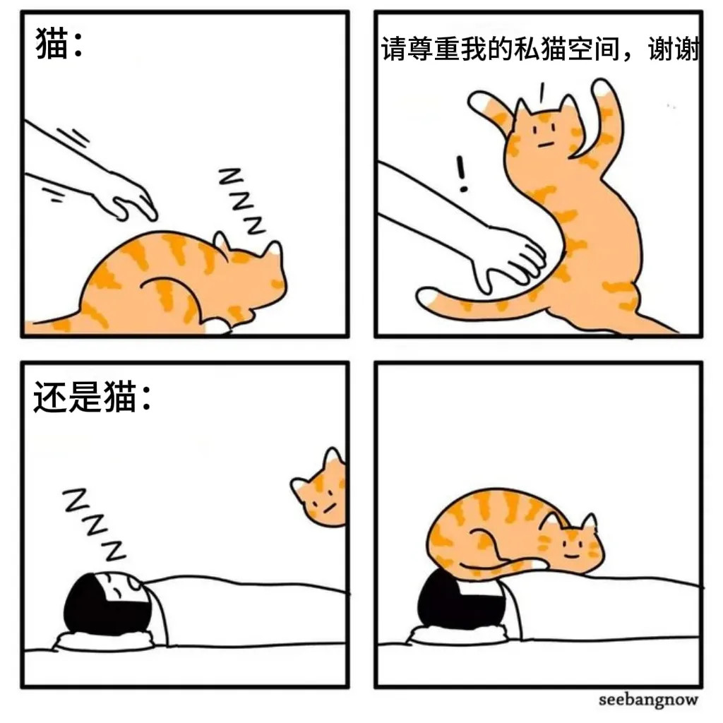 双标猫​​​