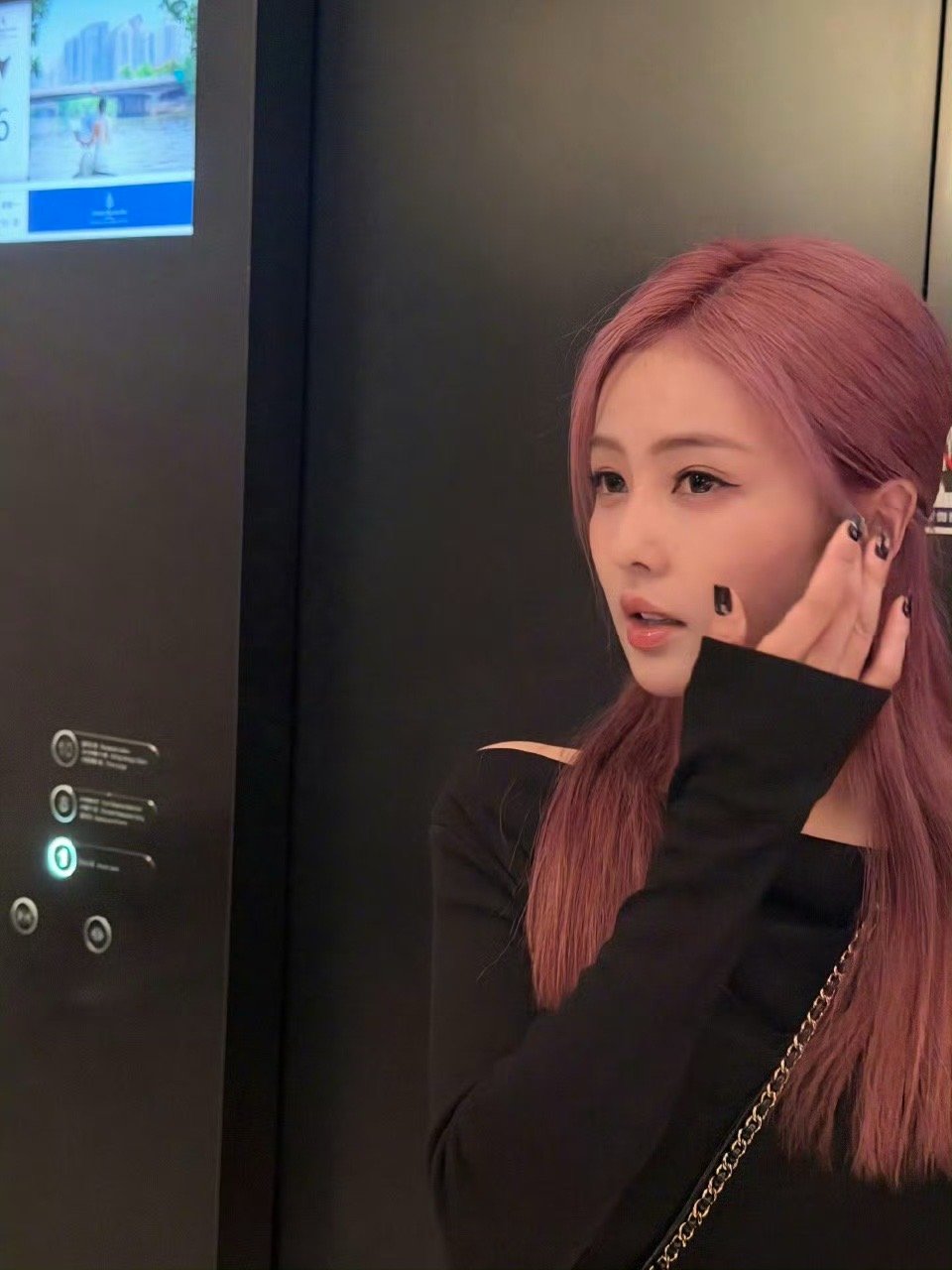 限定染发秀落幕～白鹿染回黑发，但百变·鹿的百变发色都惊艳！