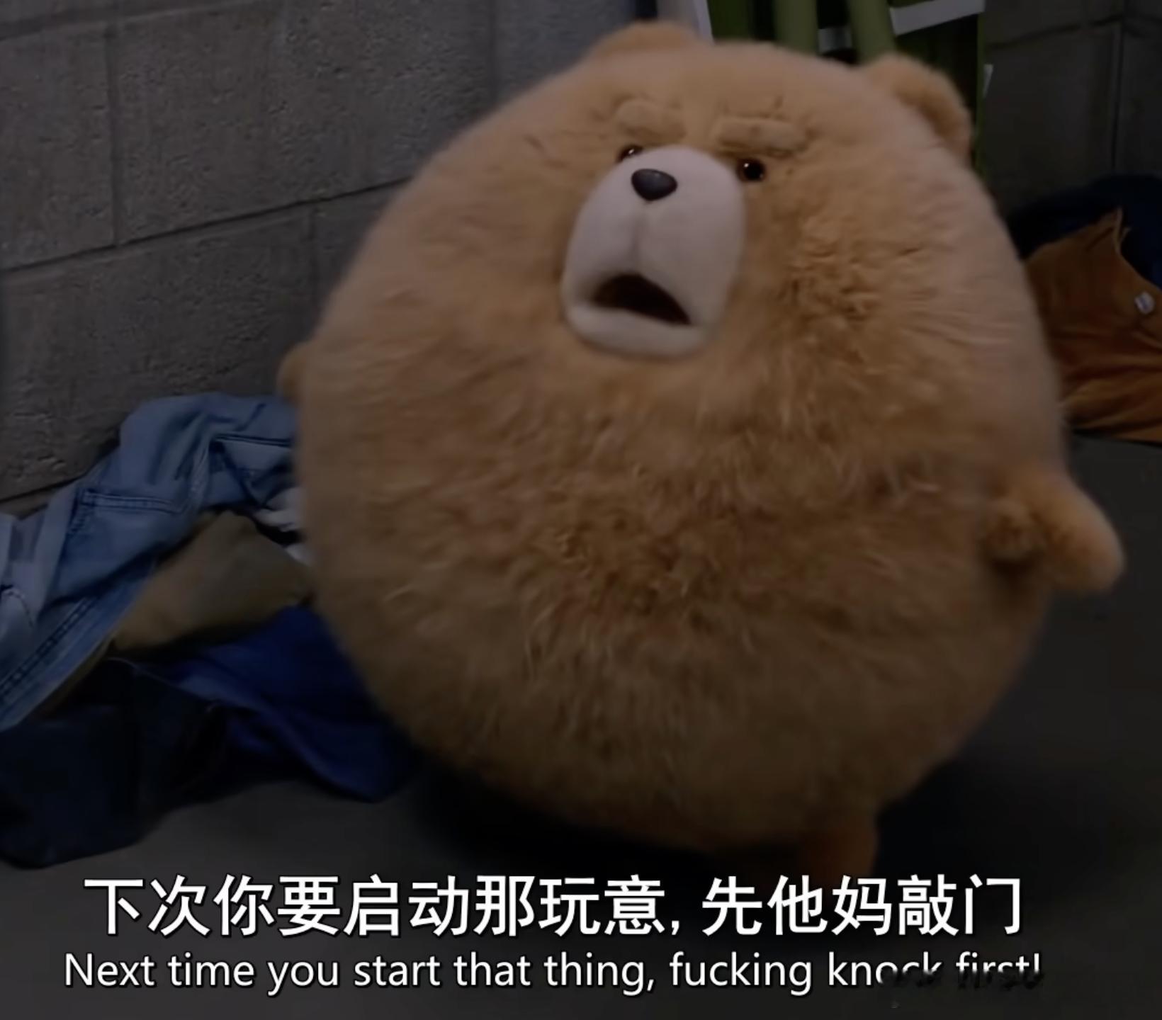 泰迪竟然还有这个形态？？？