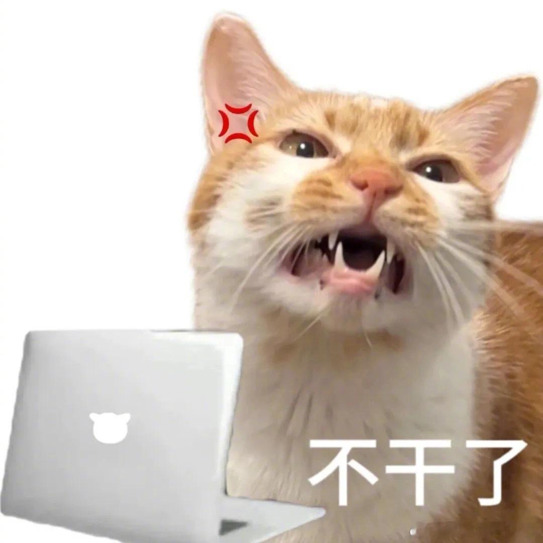 12星座开会时在想什么：白羊——说重点！别铺垫了！金牛——这个月绩效到底怎么算双